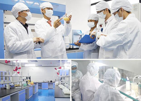 而非简单拼装或引进