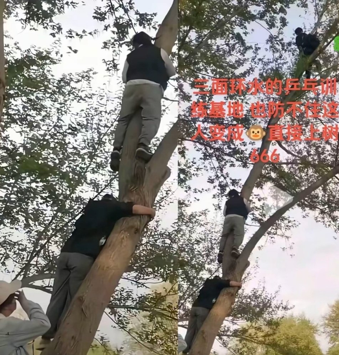 国乒重庆冠军赛颗粒无收 启动封训备战世乒赛外